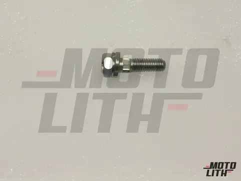 BOLT8X30