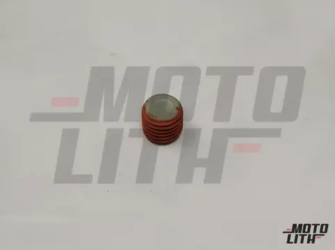 PLUG,CYL HEAD M10