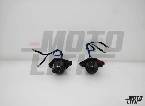 License Lamp Assembly