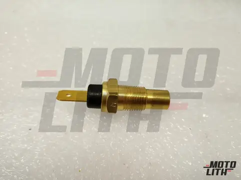 Temperature Sensor