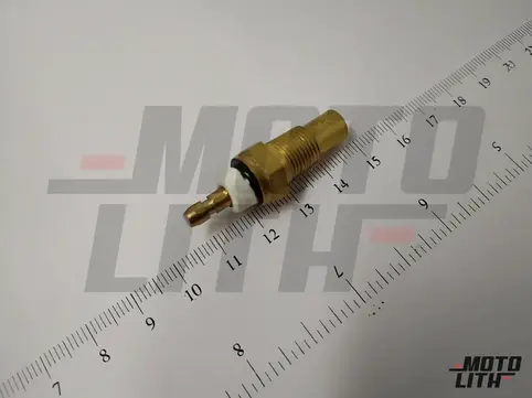 Temperature Sensor