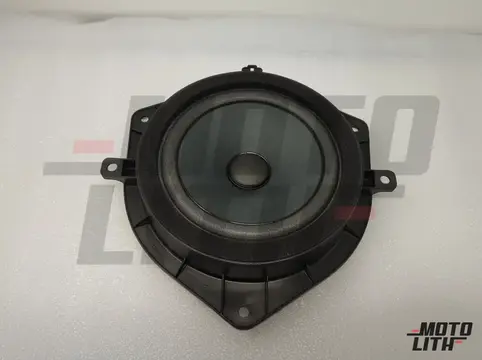 SPEAKER & PROTECTOR ASSY-RR DOOR