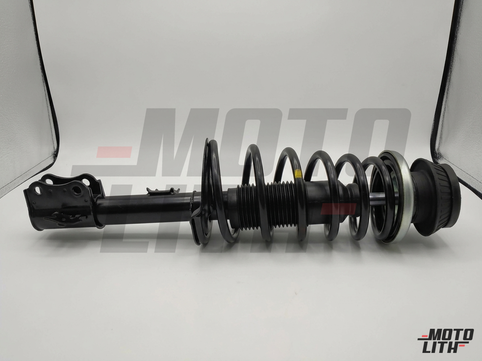 Front Suspension Strut Assembly Left