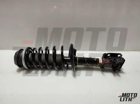 Front Suspension Strut Assembly Left