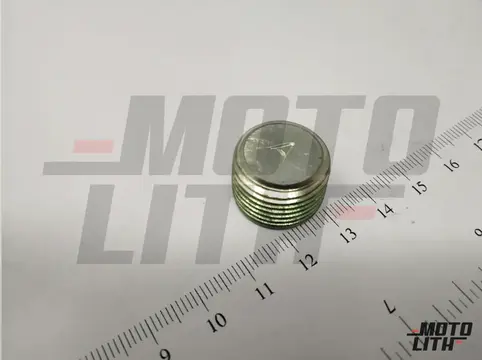 PLUG (3/8PT,H:12)