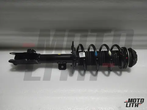 Front Suspension Strut Right