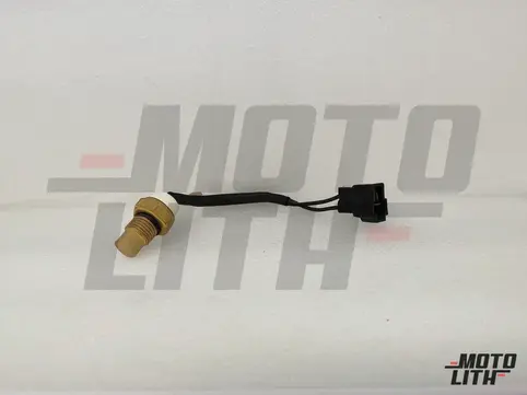 Thermo Switch