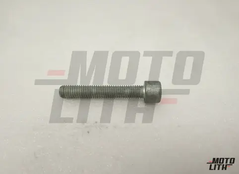 socket head bolt with innermultipoint head