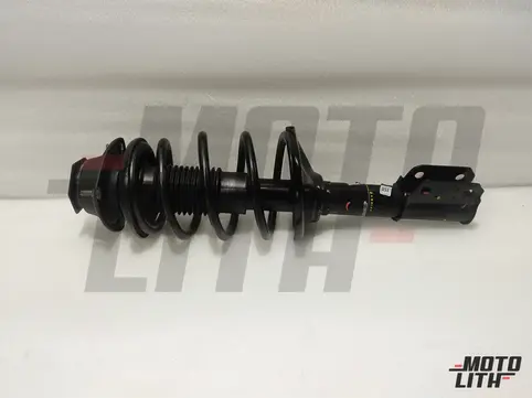 Front Suspension Strut Assembly Right