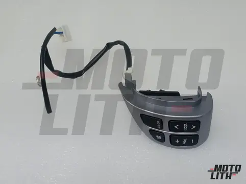 .SWITCH ASSY, AUDIO CONTROL (GRAY)