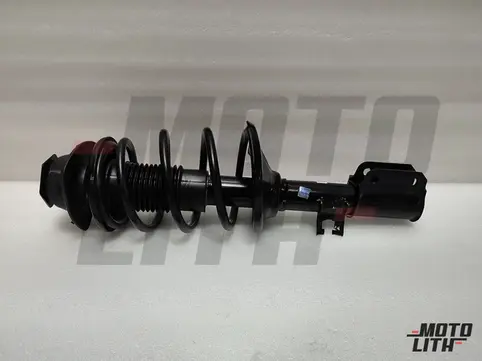 Front Suspension Strut Assembly Left