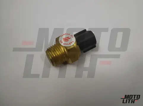 Thermo Switch