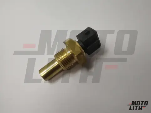 Temperature Sensor 