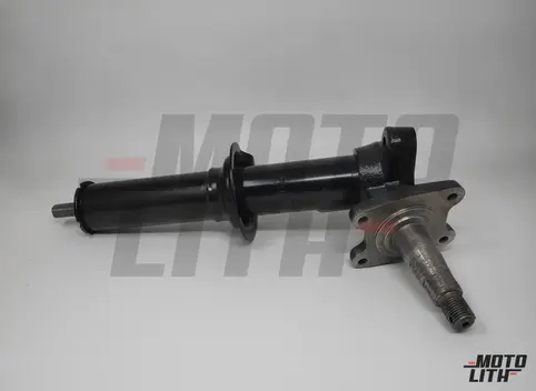 STRUT ASSYLH SUSPENSION