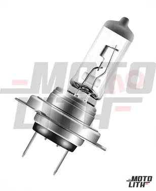 H7 Halogen Bulb 12V 80W (Single Bulb)