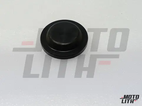 PLUG LH BEARING