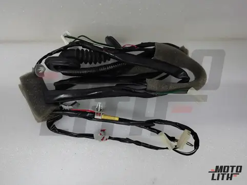 WIRING ASSY-TAIL GATE