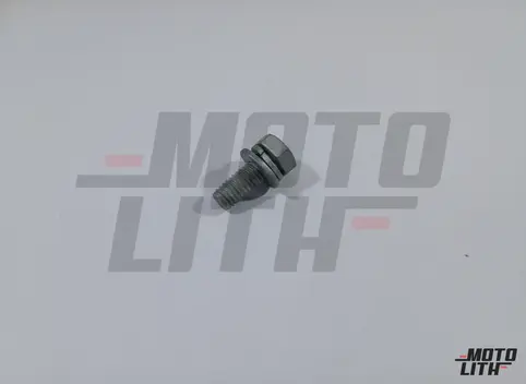 BOLT - WASHER, 6X16 (DACRO COATING)