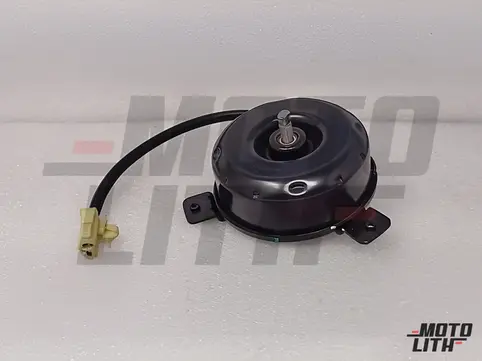 Radiator Fan Motor