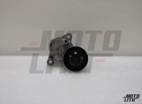 TENSIONER ASSY