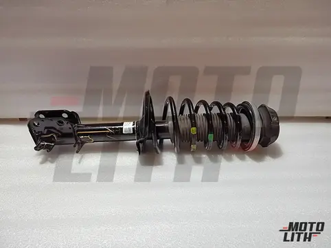 Front Suspension Strut Assembly Right