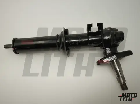 STRUT ASSY FR SUSP RH