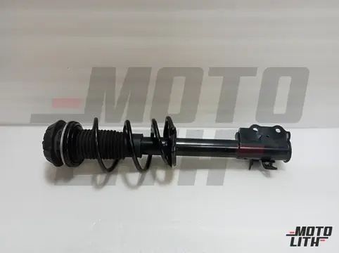 Front Suspension Strut Assembly Left