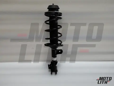 Front Suspension Strut Assembly Left