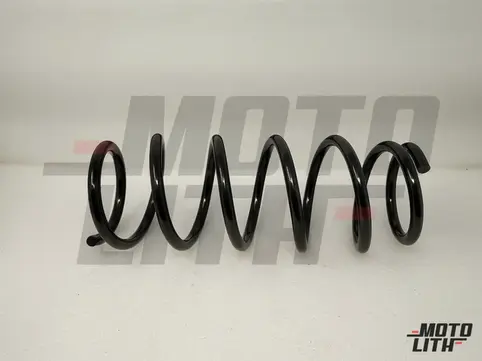 SPRINGREAR COIL