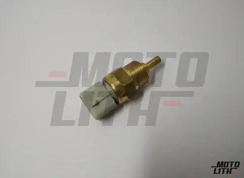 Temperature Sensor 
