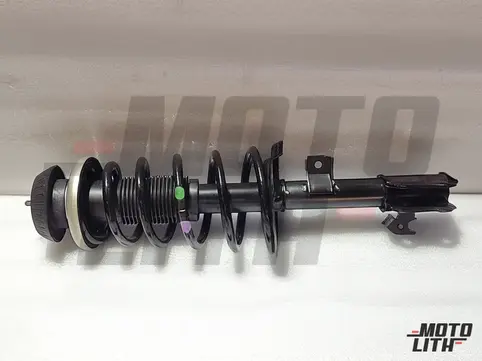 Front Suspension Strut Assembly Right