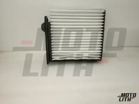AIR FILTER ASSY