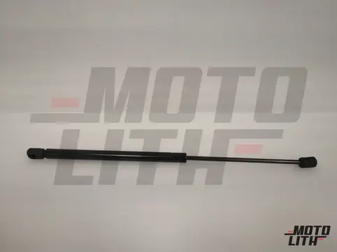 GAS-FILLED STRUT