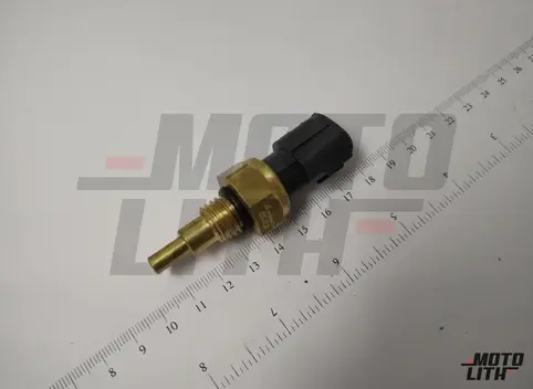 Temperature Sensor 