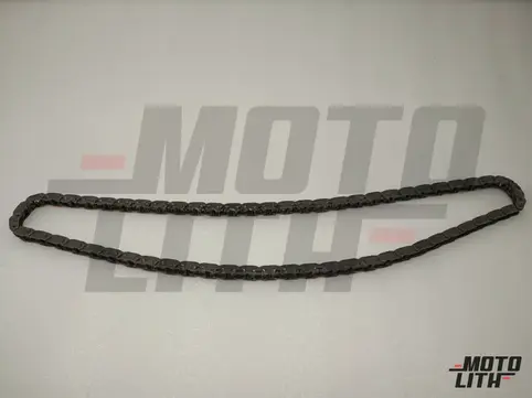 TIMING CHAIN INA_DSL