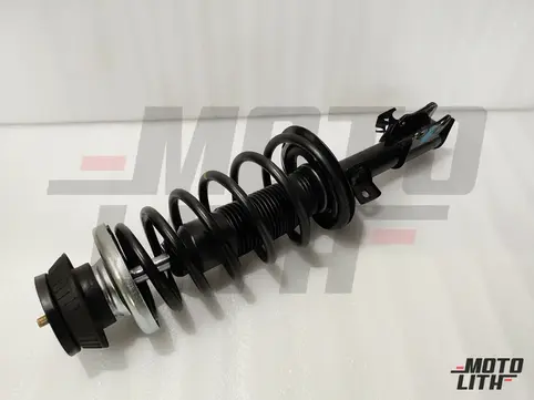 Front Suspension Strut Assembly Left
