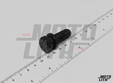 BOLT, W/WASHER