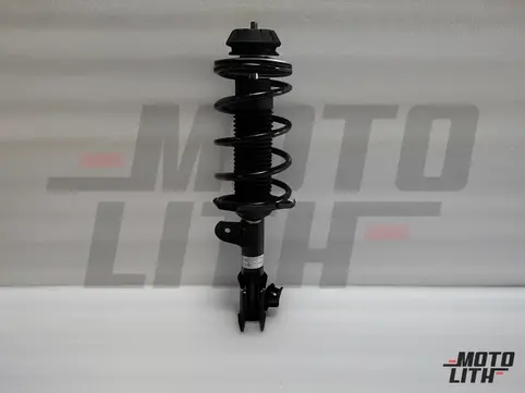 Front Suspension Strut Assembly Right