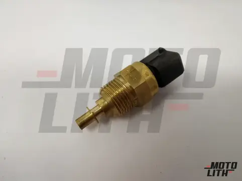 Temperature Sensor