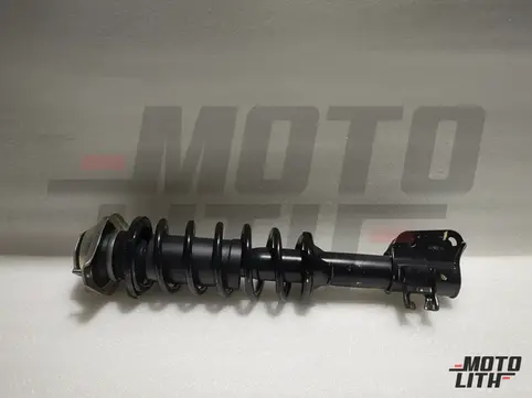 Front Suspension Strut Assembly Left