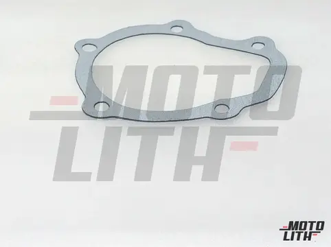 Water Pump Gasket (CAF)