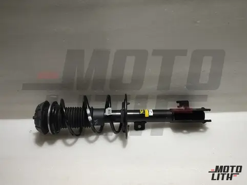Front Suspension Strut Assembly Left