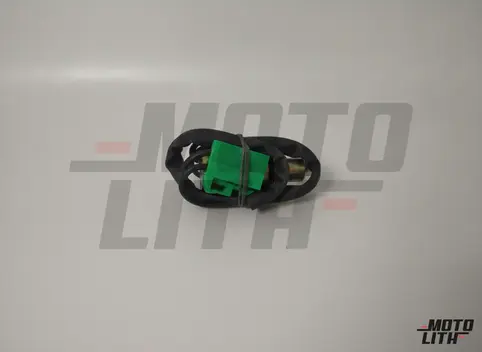 Reverse Light Switch 