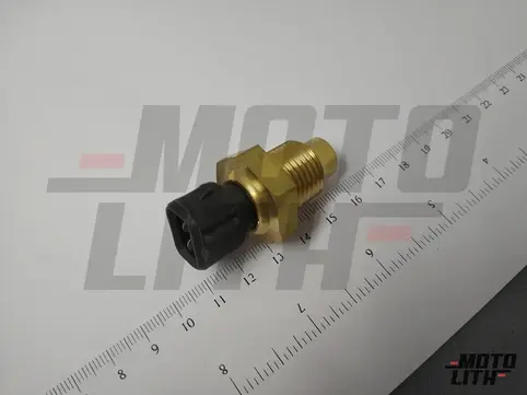 Temperature Sensor 
