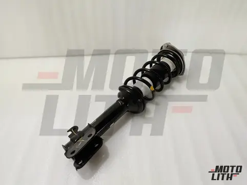 Front Suspension Strut Assembly Right