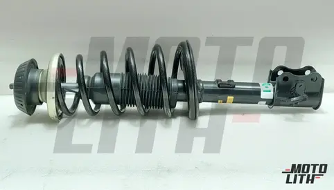 Front Suspension Strut Assembly Right