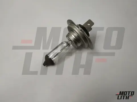 H7 Halogen Bulb 24V 70W (Single Bulb)