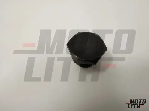 PLUG-MAGNET, COACH
