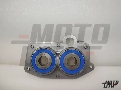 SUPPORT WITH GOOFED BALLBEARING