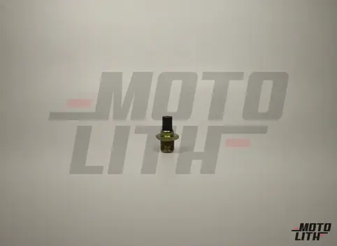 PLUG-MAGNET, COACH